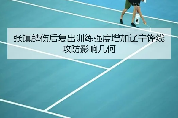 张镇麟伤后复出训练强度增加辽宁锋线攻防影响几何